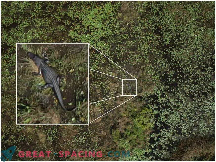 Hoe drones het geheim van graancirkels