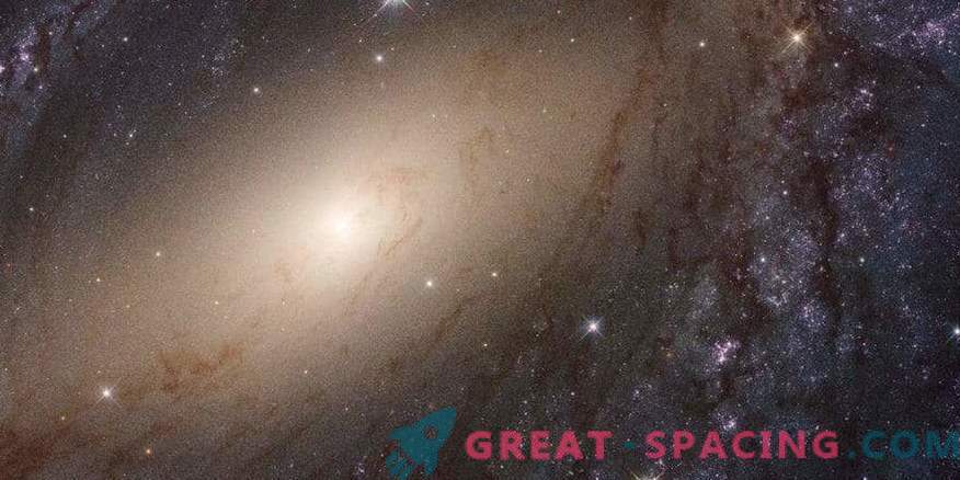 Wetenschappers hebben een volledig overzicht vrijgegeven van het UV-licht van nabijgelegen melkwegstelsels