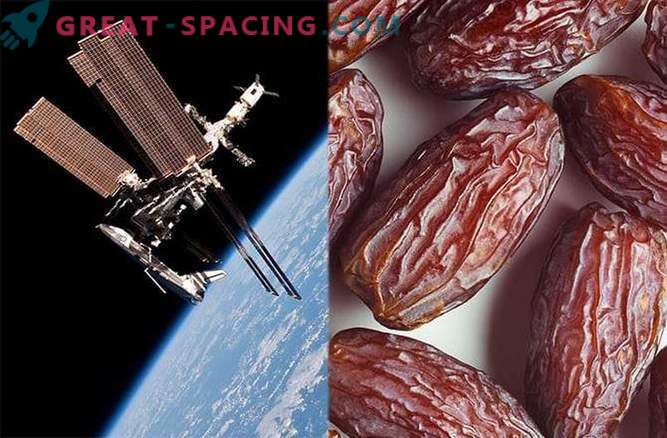 Space Prunes voor Astronaut Bone Health