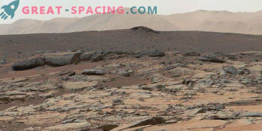 Marsachtige sedimenten vormen een netwerk op het oppervlak