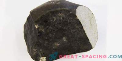 Nederlandse wetenschappers vieren de komst van een zeldzame meteoriet