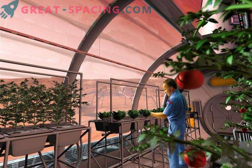 Zal NASA planten naar Mars sturen?