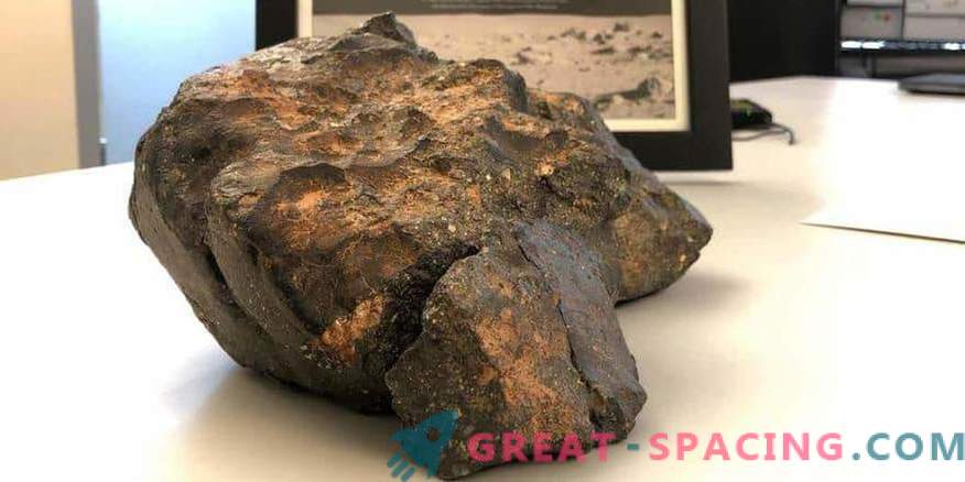 De meteoriet van de maan is verkocht voor $ 600.000