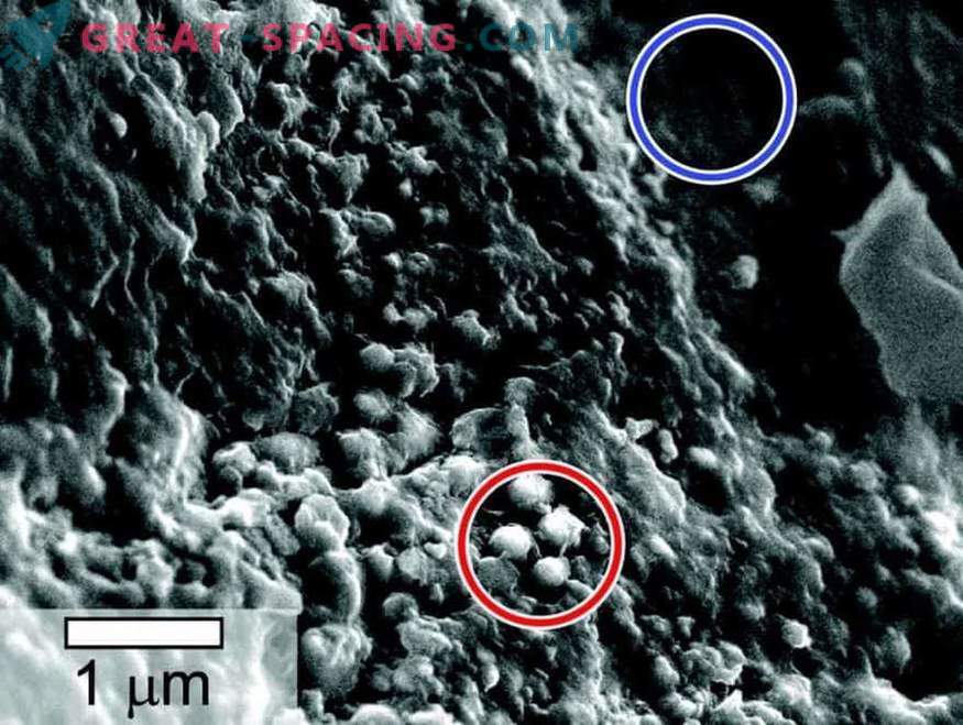 Het leven wordt gedetecteerd in monsters van een Mars meteoriet